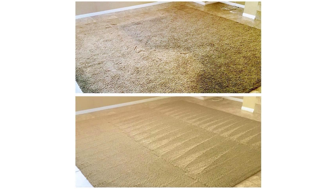 Greenworks New Rapid Dry Organic Carpet Cleaning Risks Defying