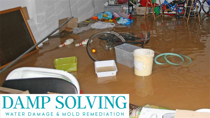 Orlando Water Damage Mold Remediation Service For Homes